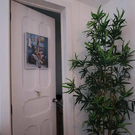 Giraffe House Apartamento *